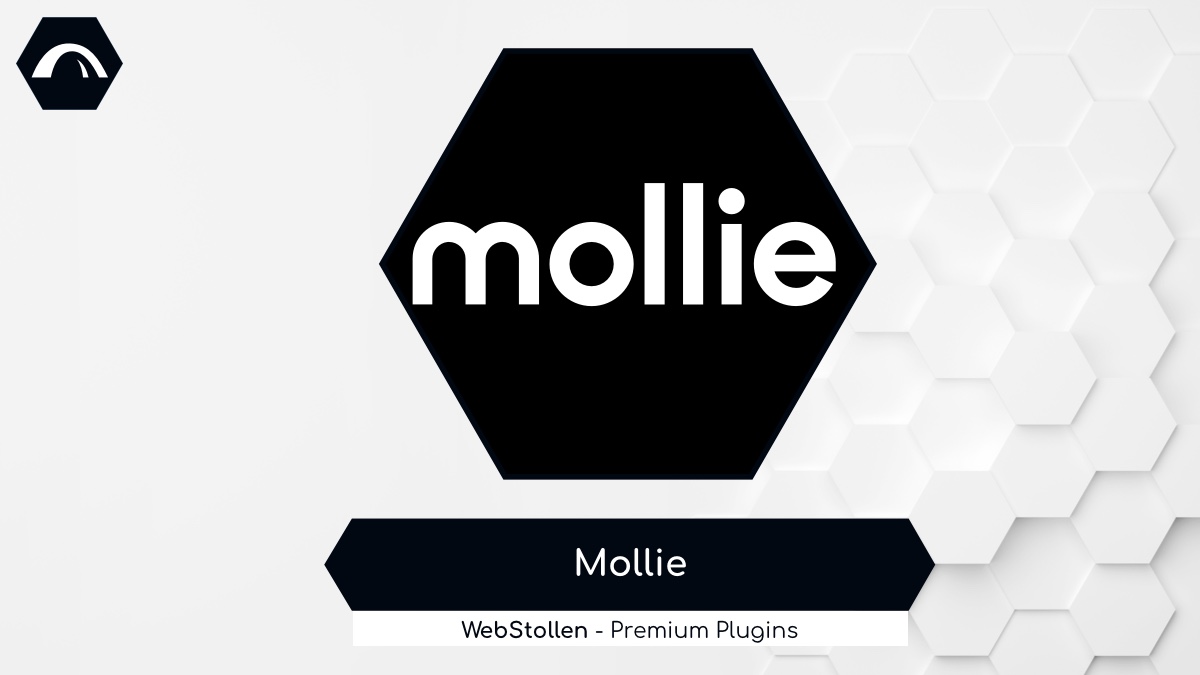 Mollie Payments - ws_mollie_4.jpg